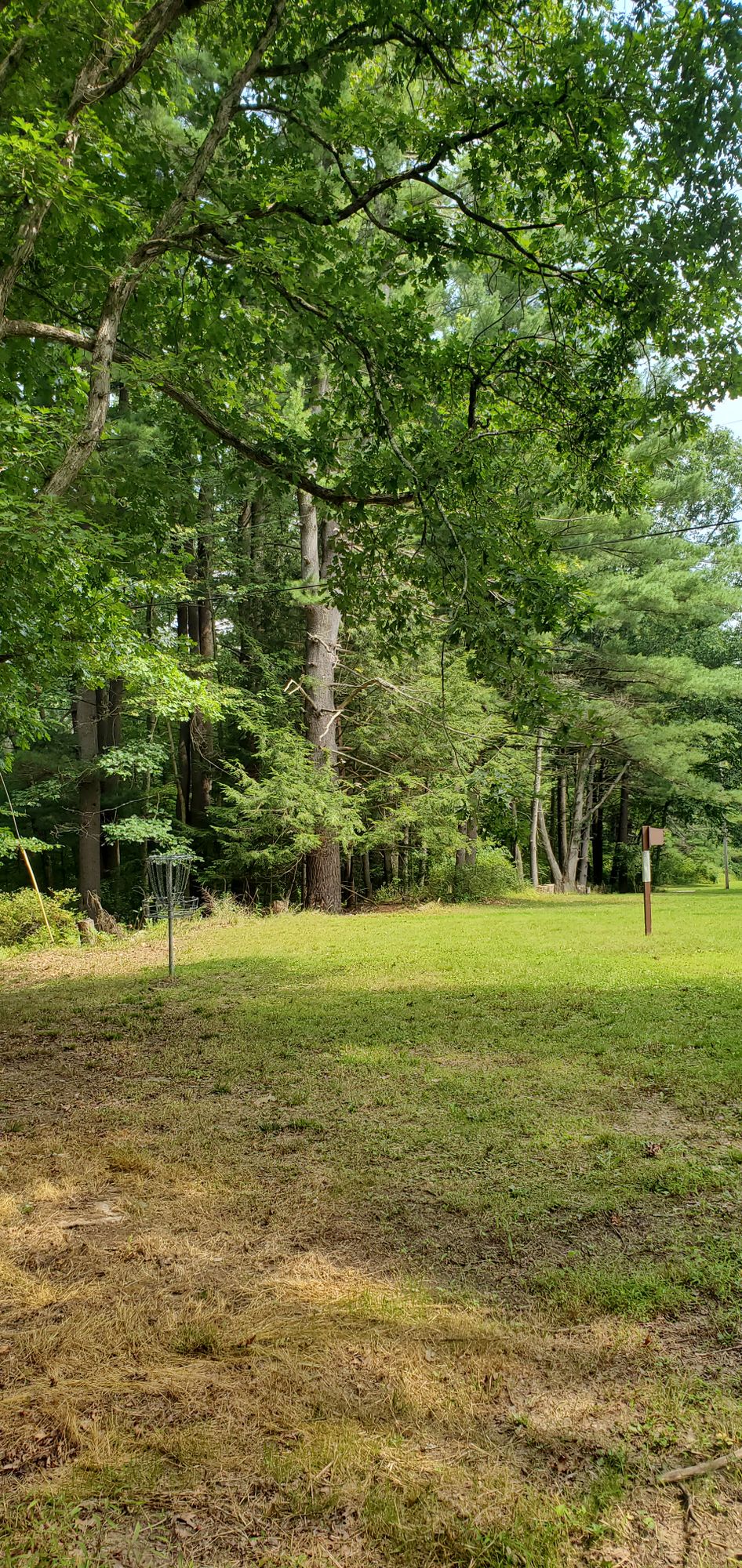Hole 6 green. Looking back towards the tee pad.