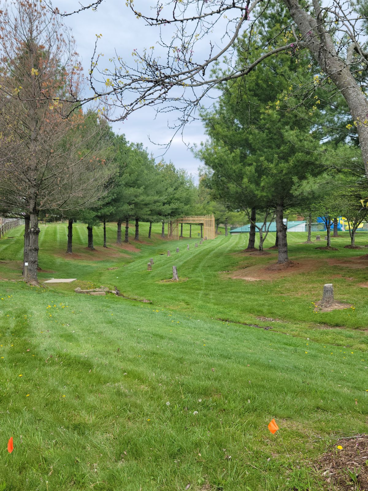 Long Tee Hole 15. Triple Mando.