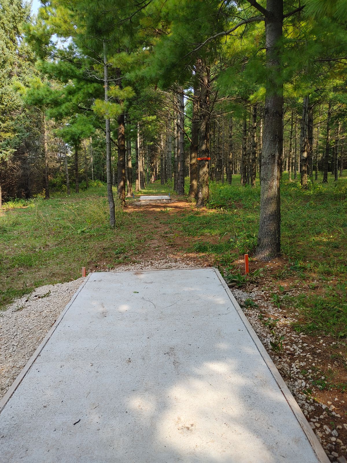Hole 5 nice new tee pads