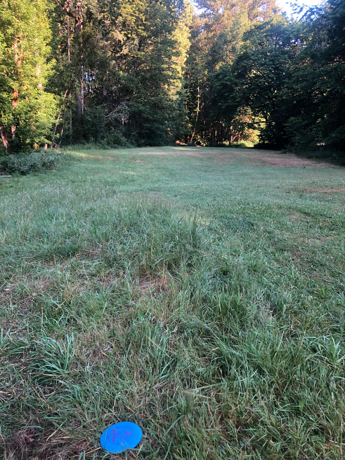 Hole 5 Approach