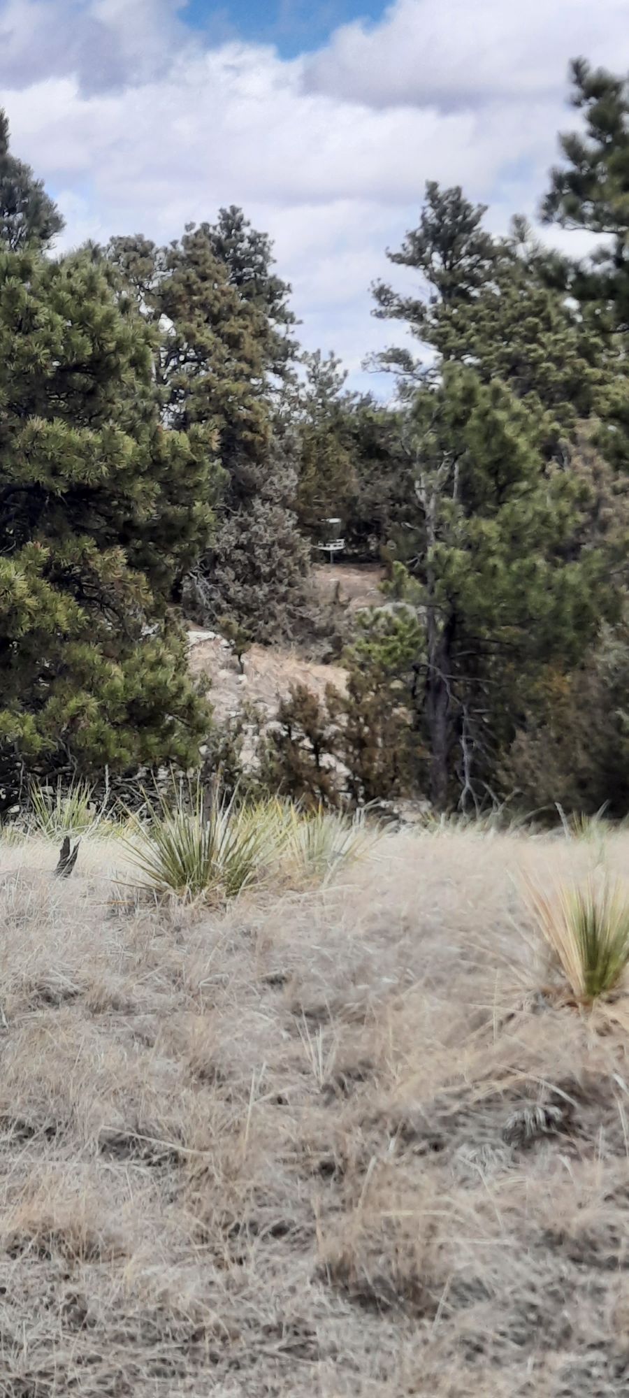 Hole 13