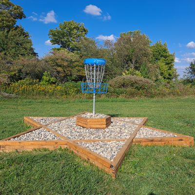 Raised basket on hole #11