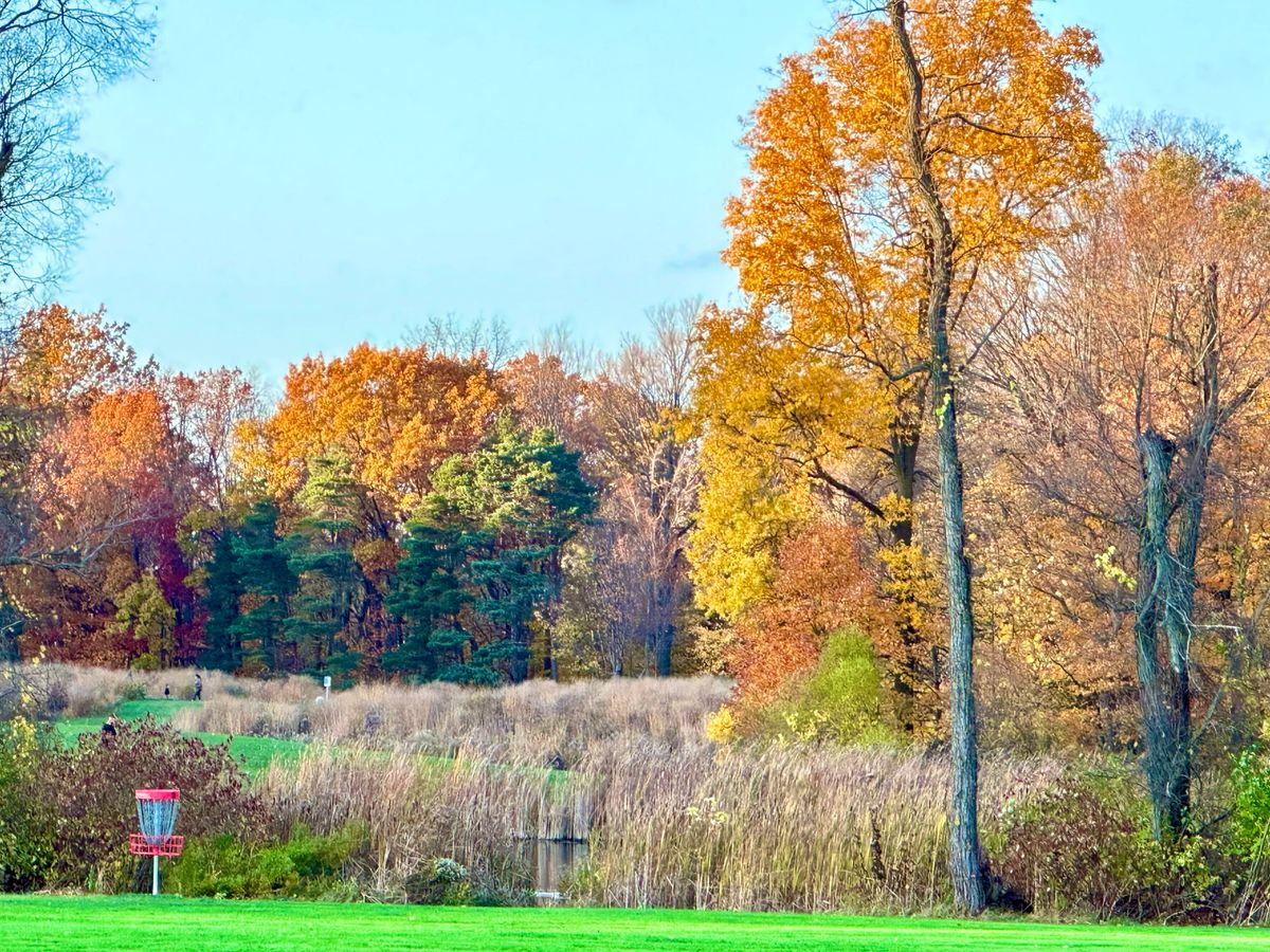 Basket at #9 with the Tee for #2 in the background