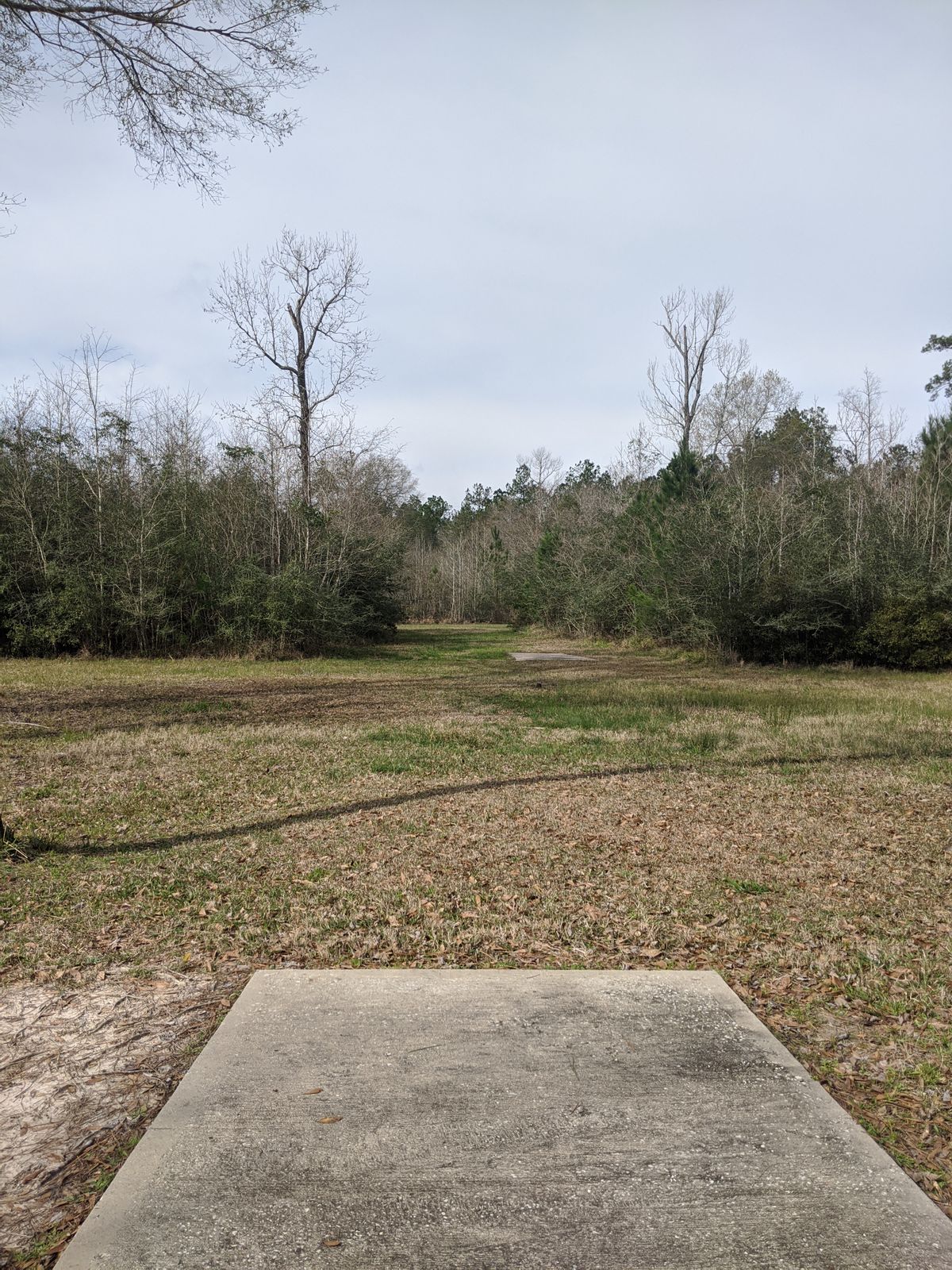 Hole 6 Long Tee