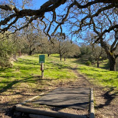 Hole 2 250’ Par 3
