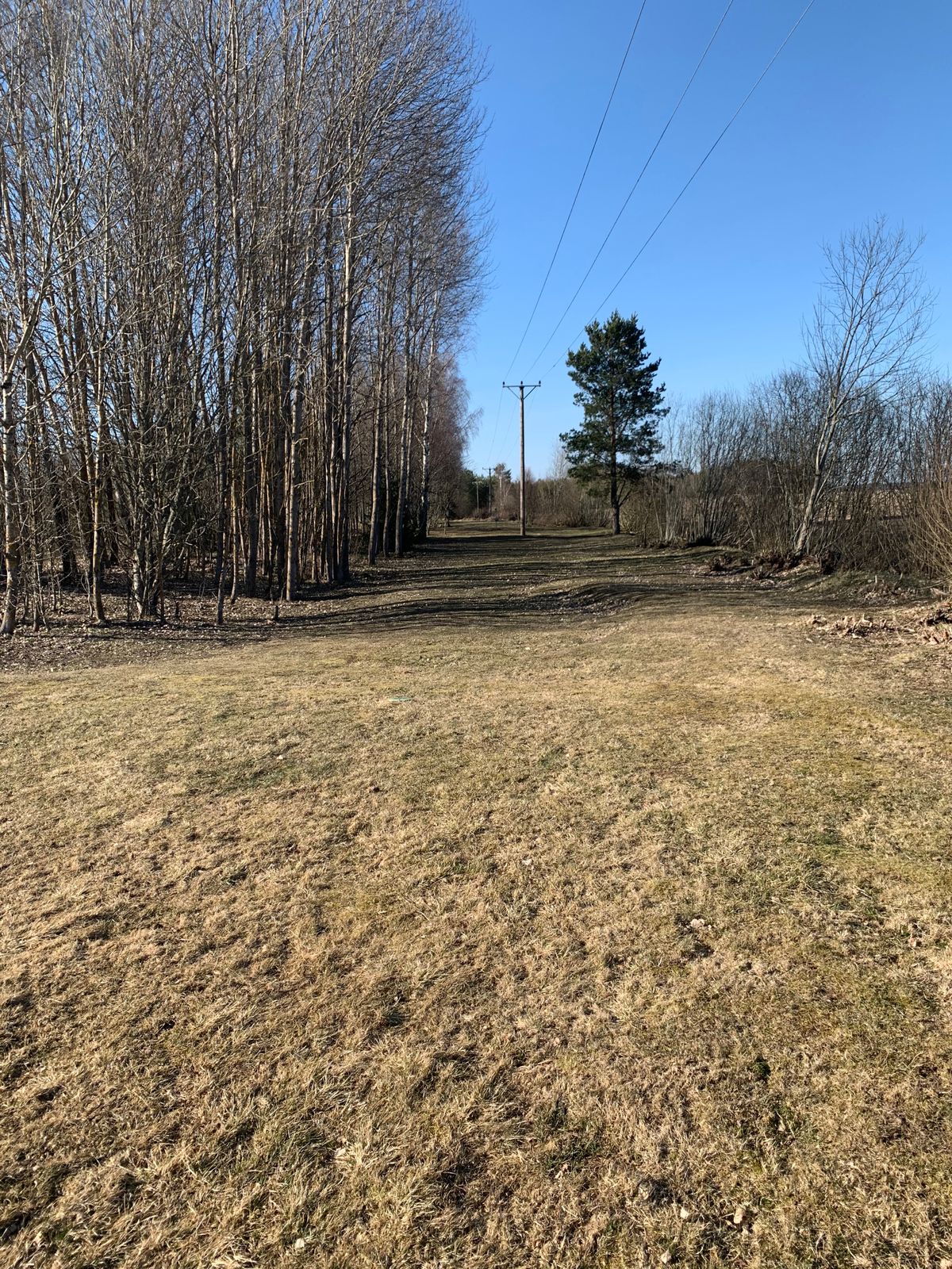 Hole 3