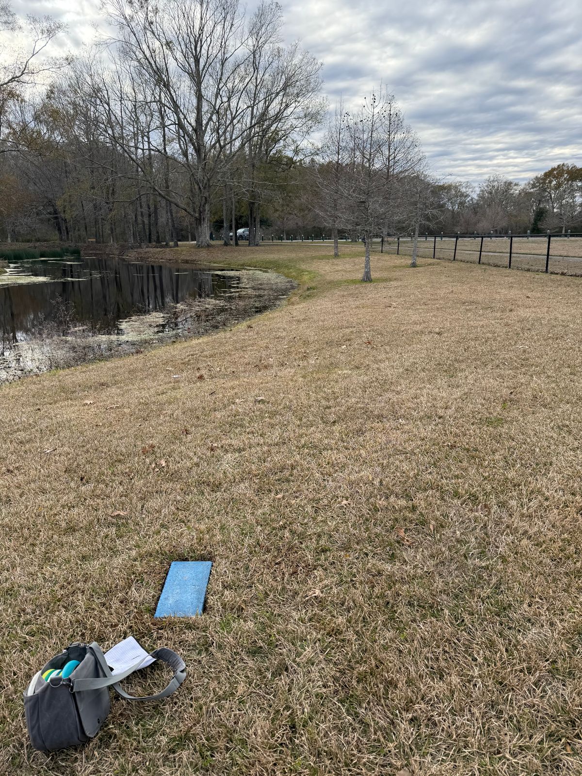 #3 Tee