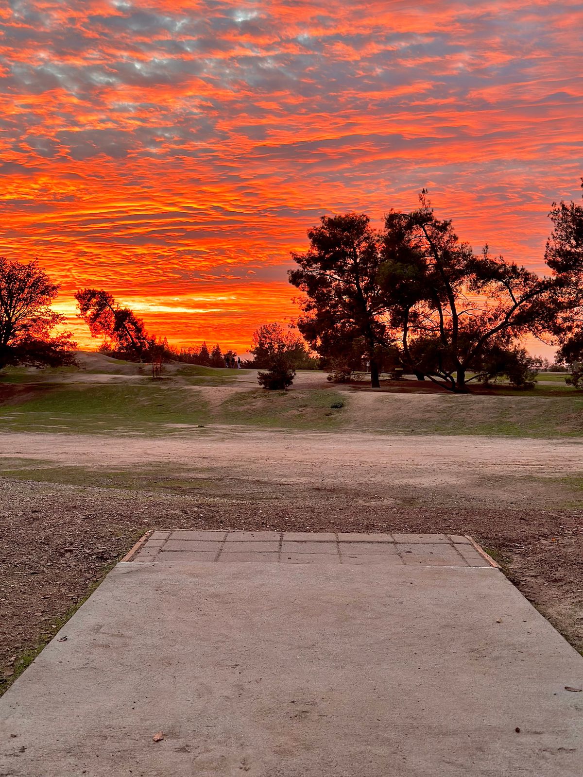 Hole 3 Tee pad