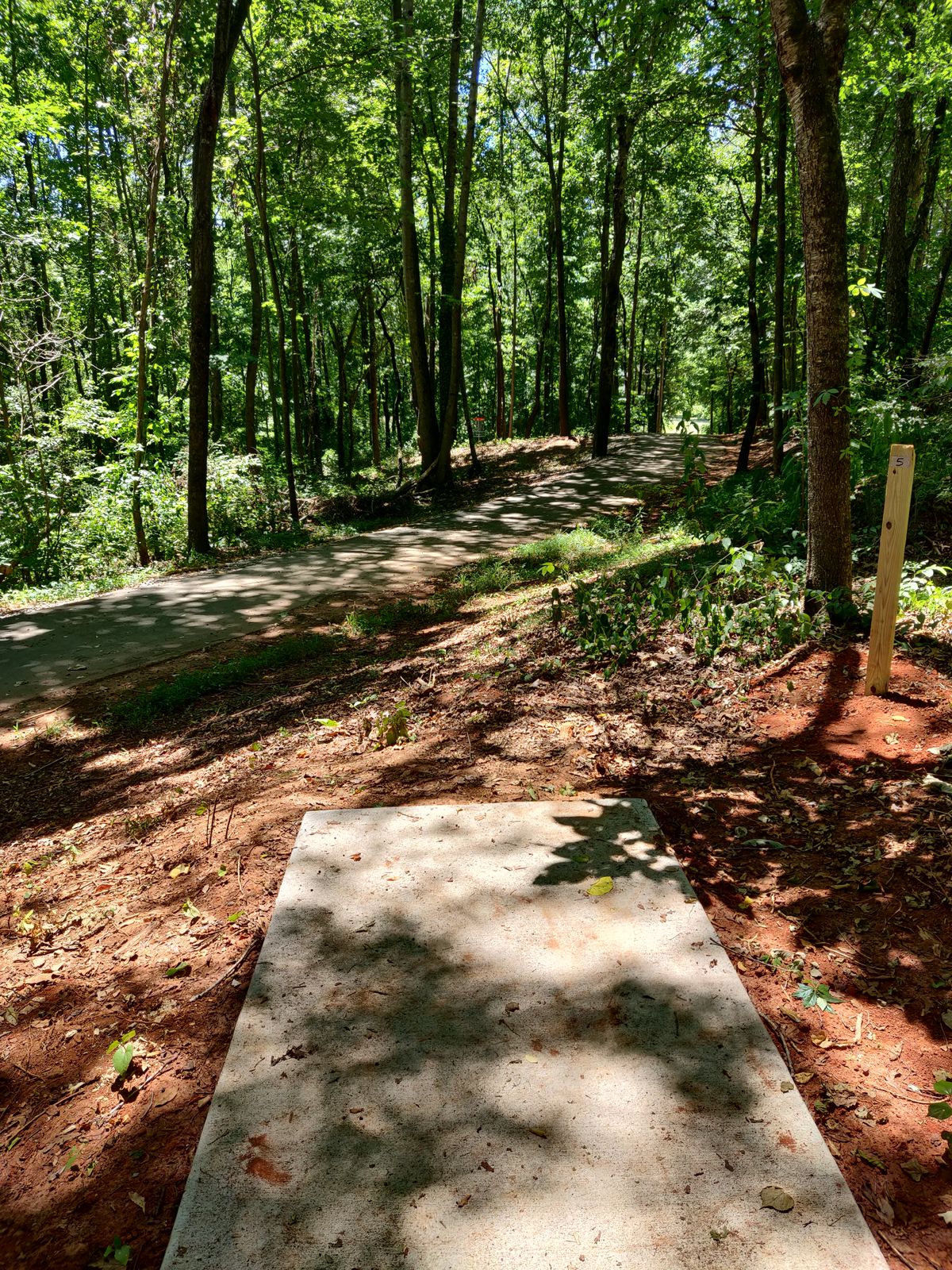 Hole 5. Looking at the basket from the tee pad. The large tree in line with the right of the pad plays as a mando. Stay to the left of the tree to avoid walkers on the Greenway.