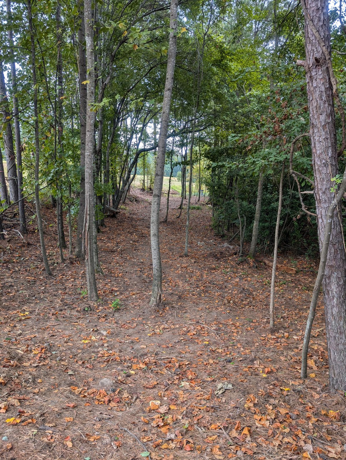 Hole 1 second shot.
