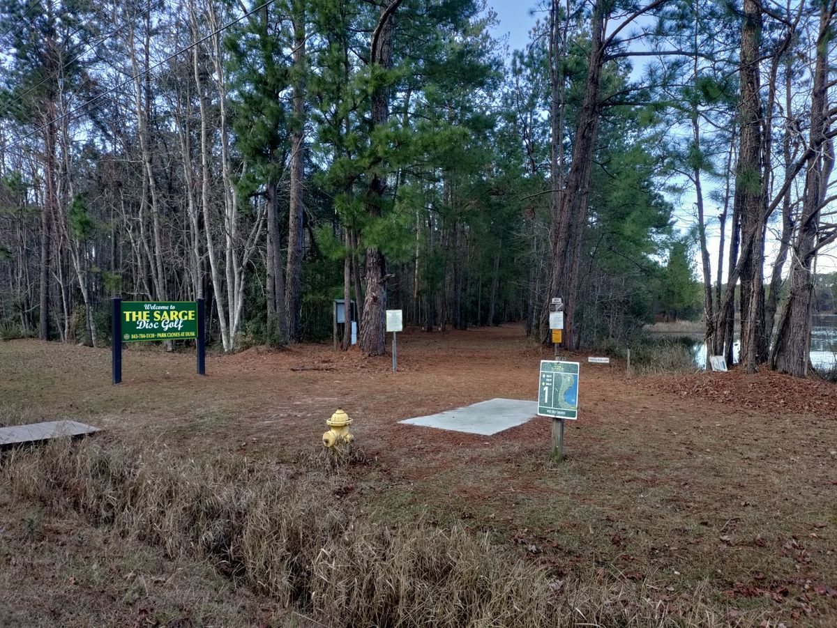 Beginning of the course