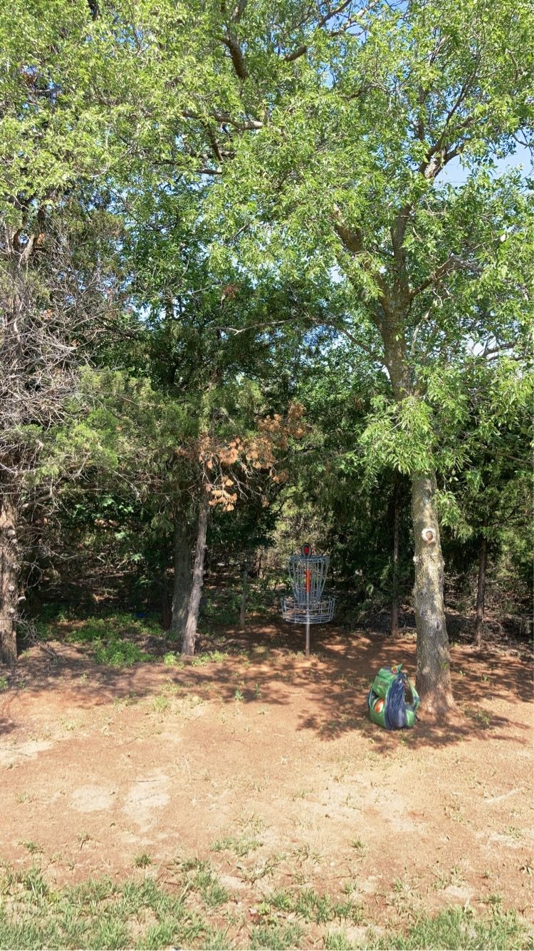 Hole 4 Basket
