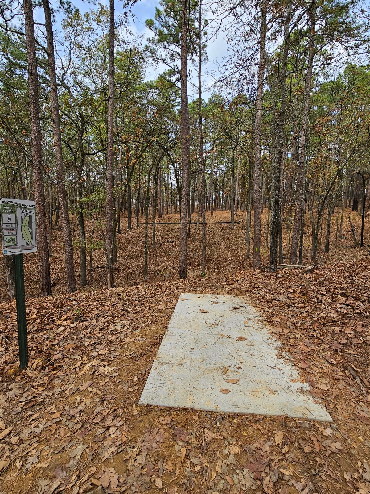 Hole 5