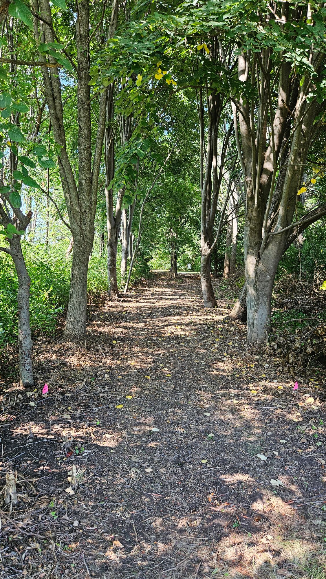 Hole 4 Tee