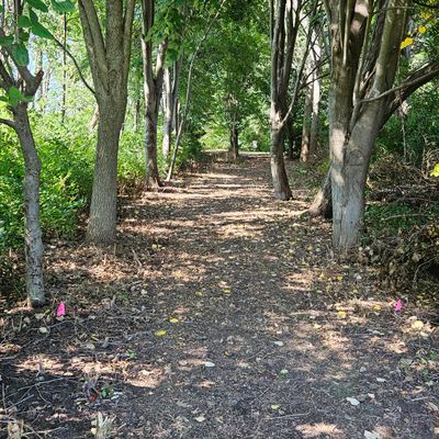 Hole 4 Tee