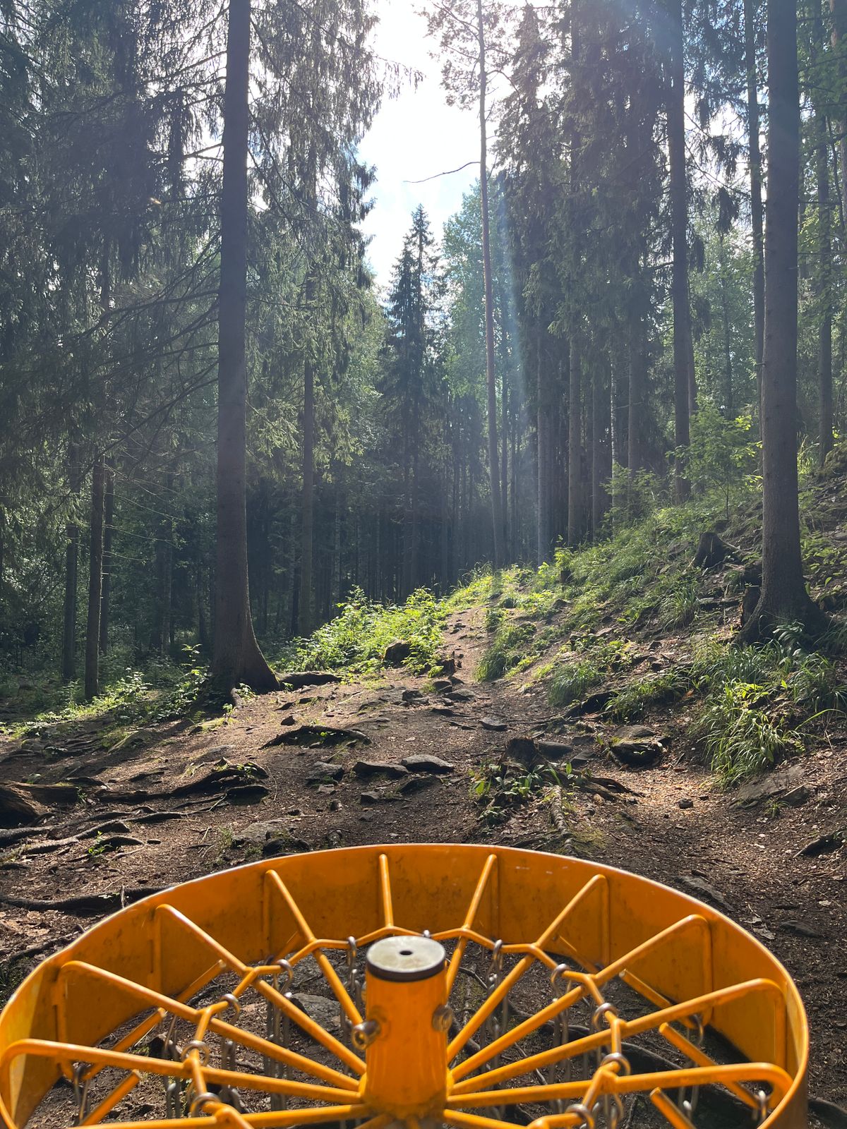 Hole 17, basket to tee