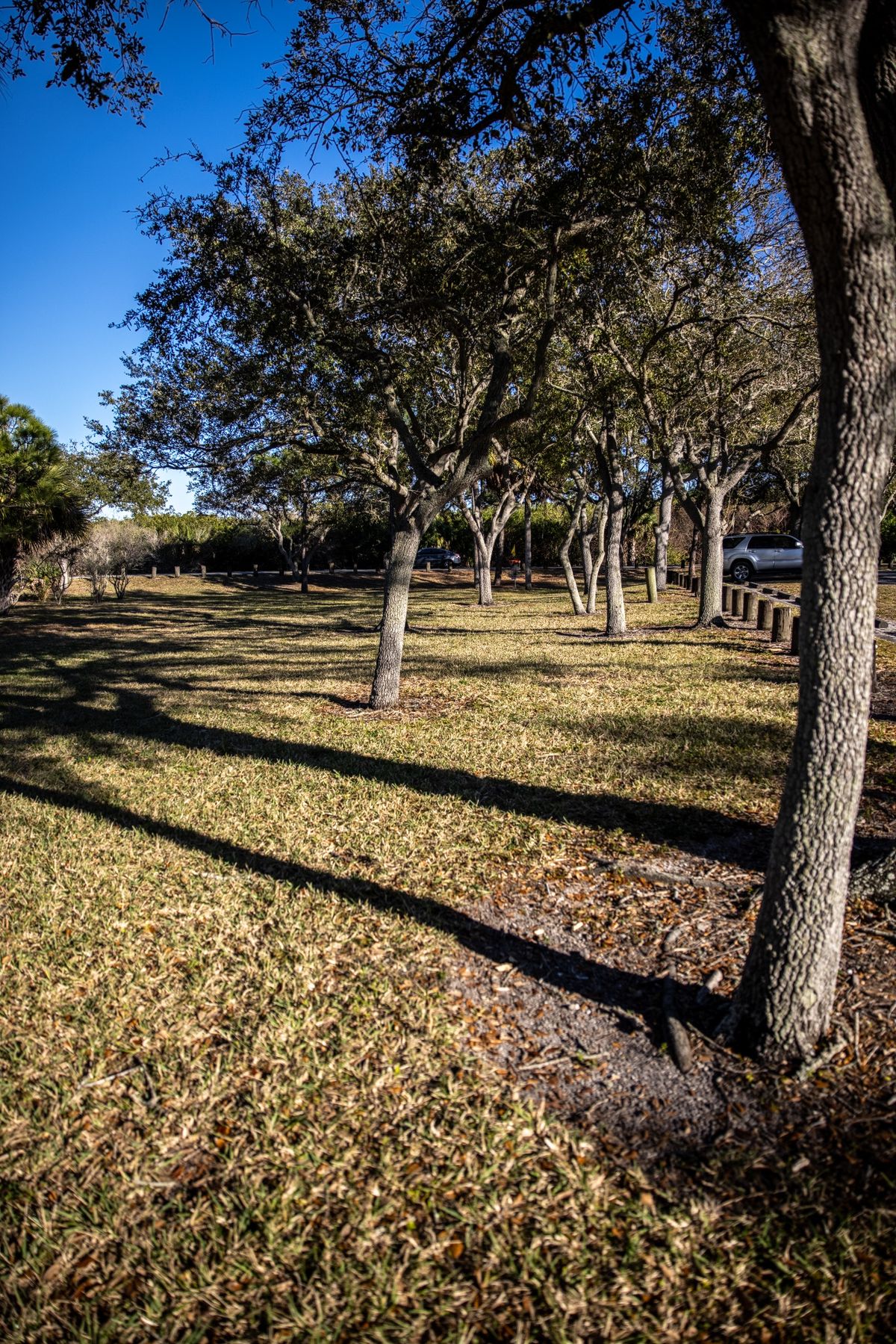 Hole 2 fairway.