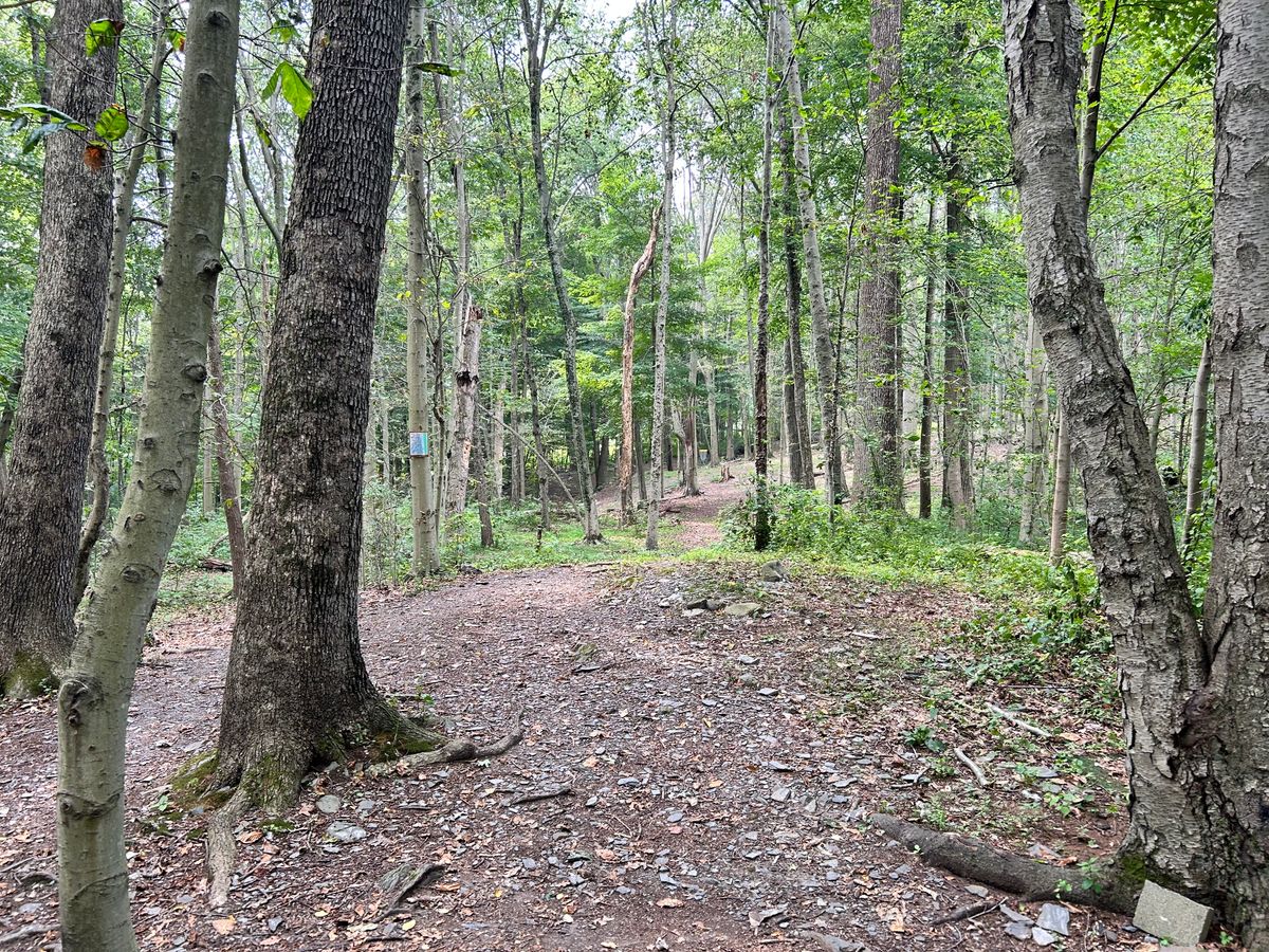 Hole 18