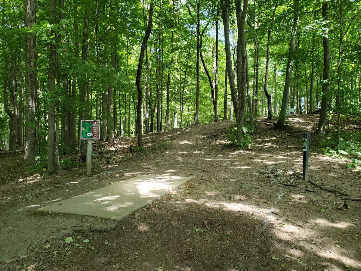 Hole #1 back tee