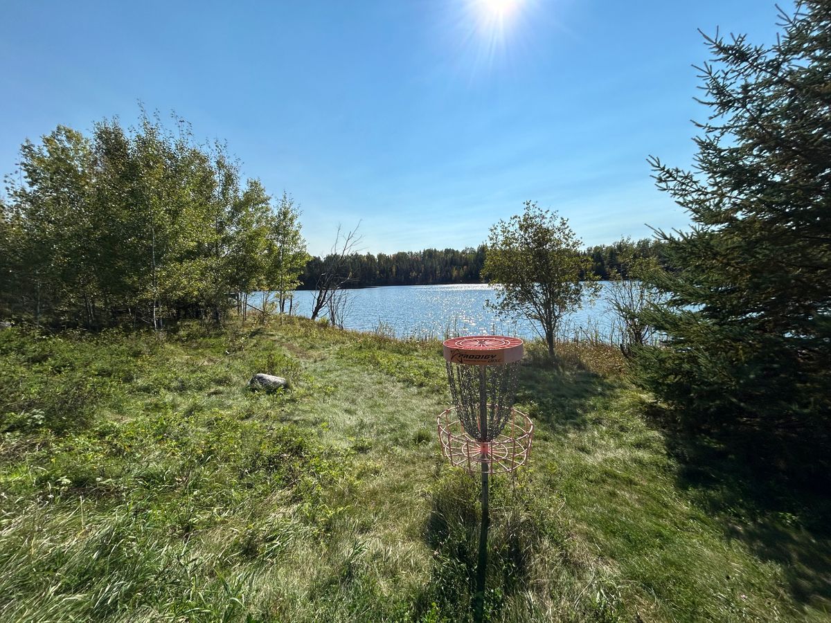 Hole 4 basket