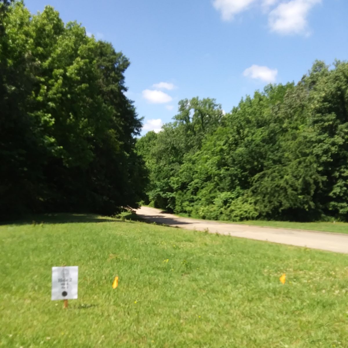 For hole 2 one must throw down hill over the road to the basket on the left past the trees.