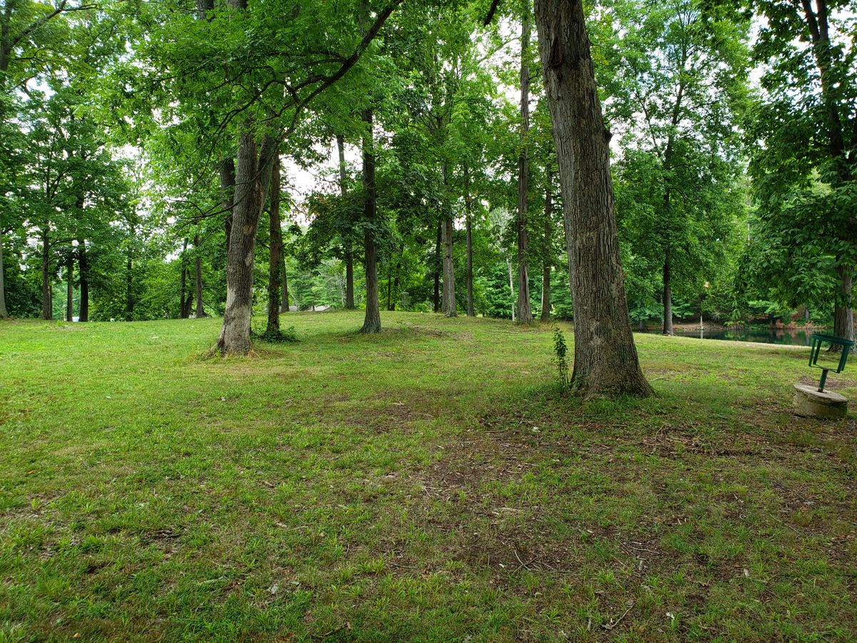 #7 Fairway view.