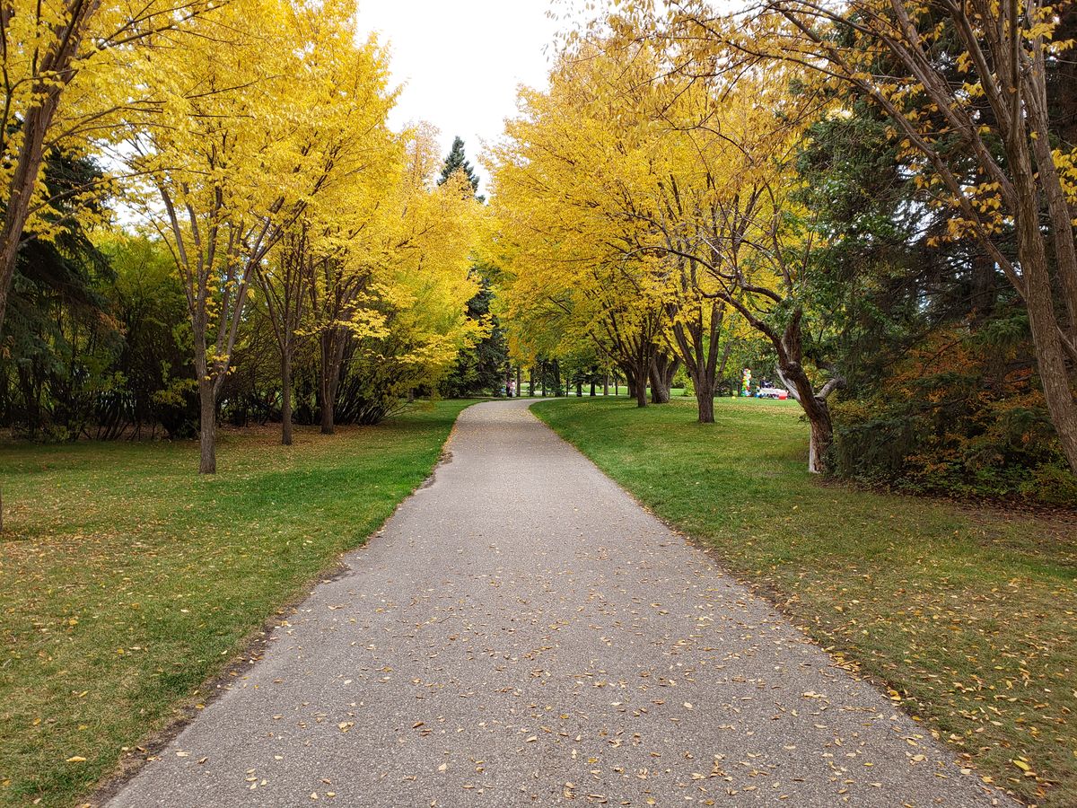 The approach to hole #1. Stunning park and easily one of the top courses in Calgary.