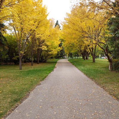 The approach to hole #1. Stunning park and easily one of the top courses in Calgary.