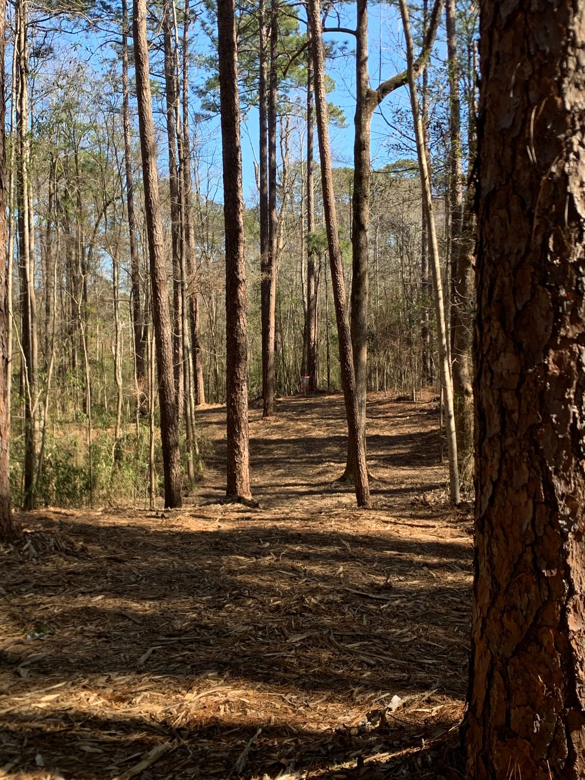 Hole 6
