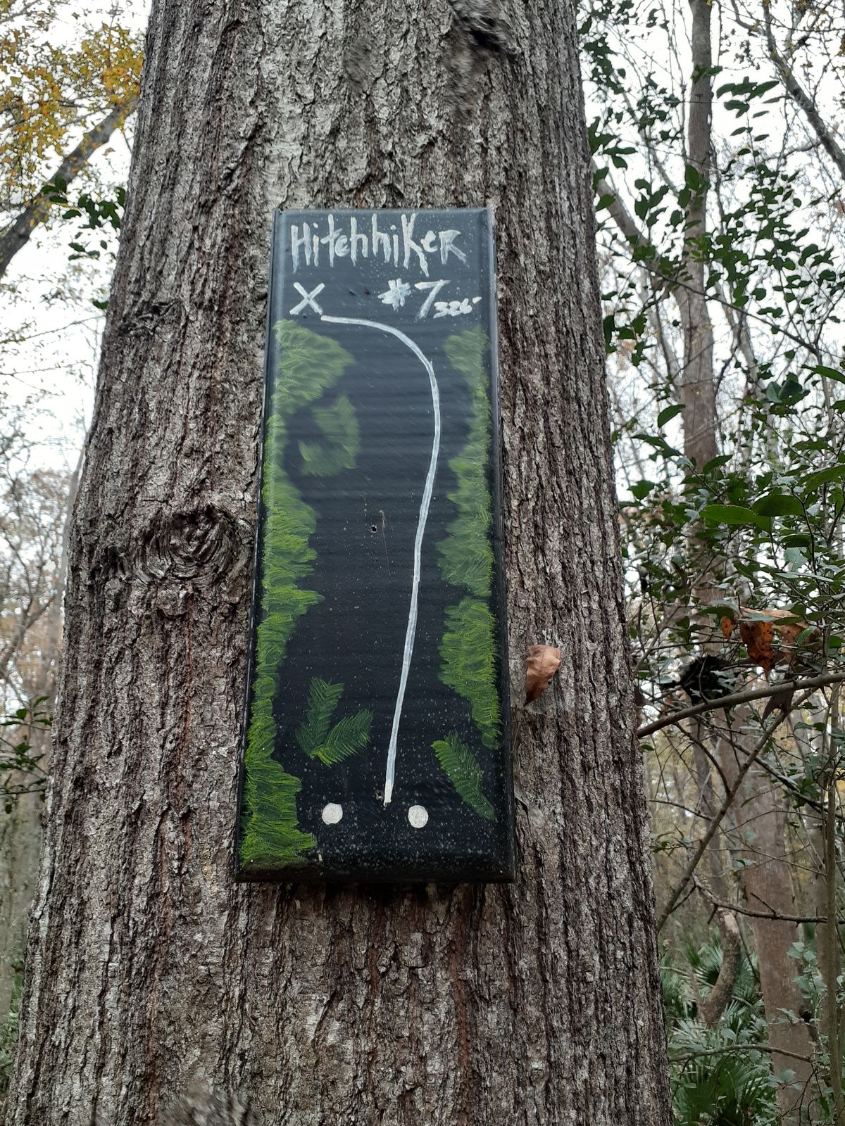 Hole #7, Hitchhiker