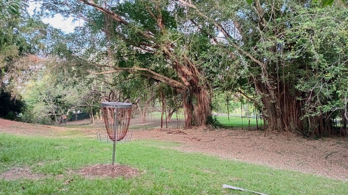 Parque Omar DG Course
Hole 1 Target
