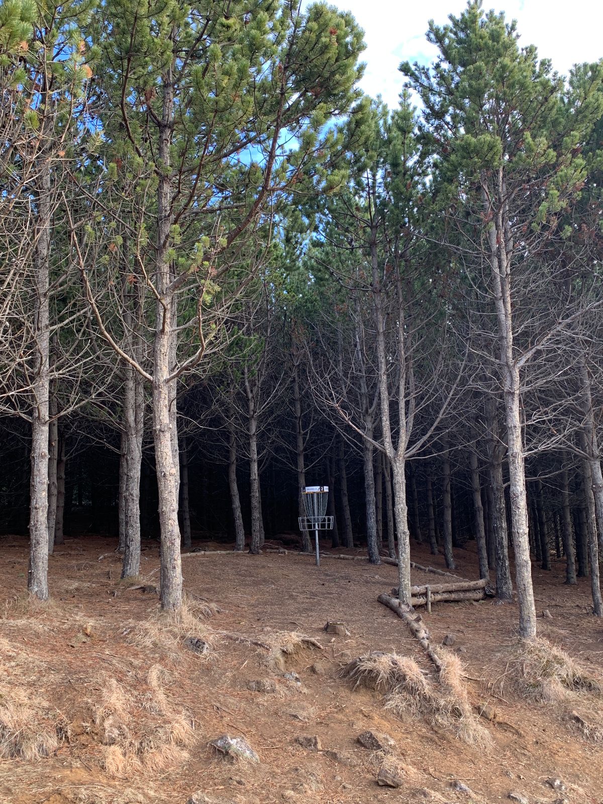 Hole 2