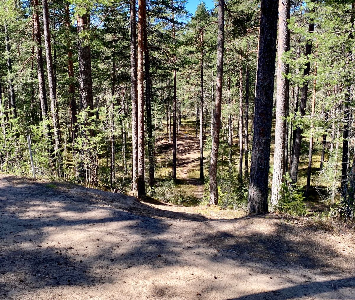 Hole 12
