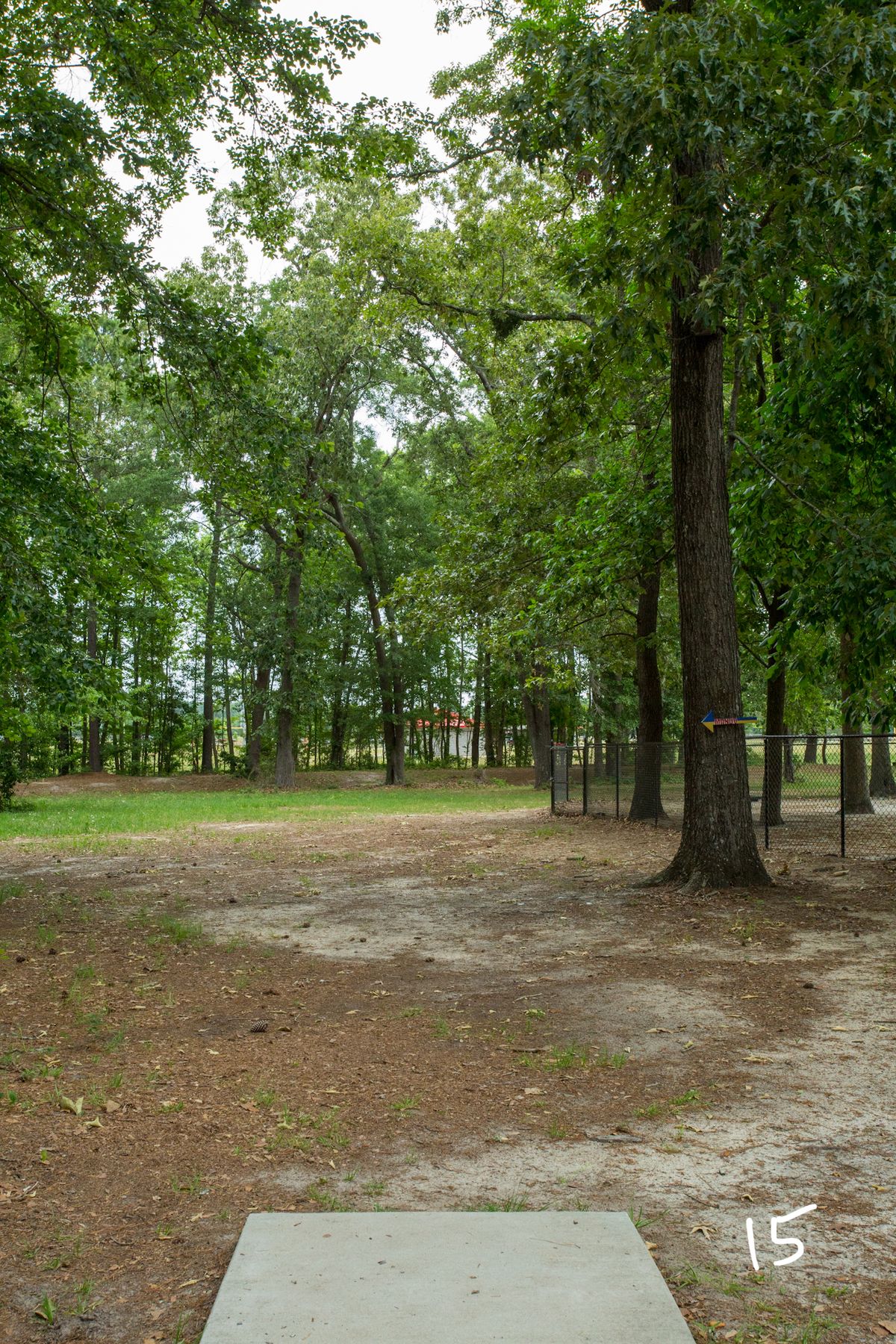Dog park OB