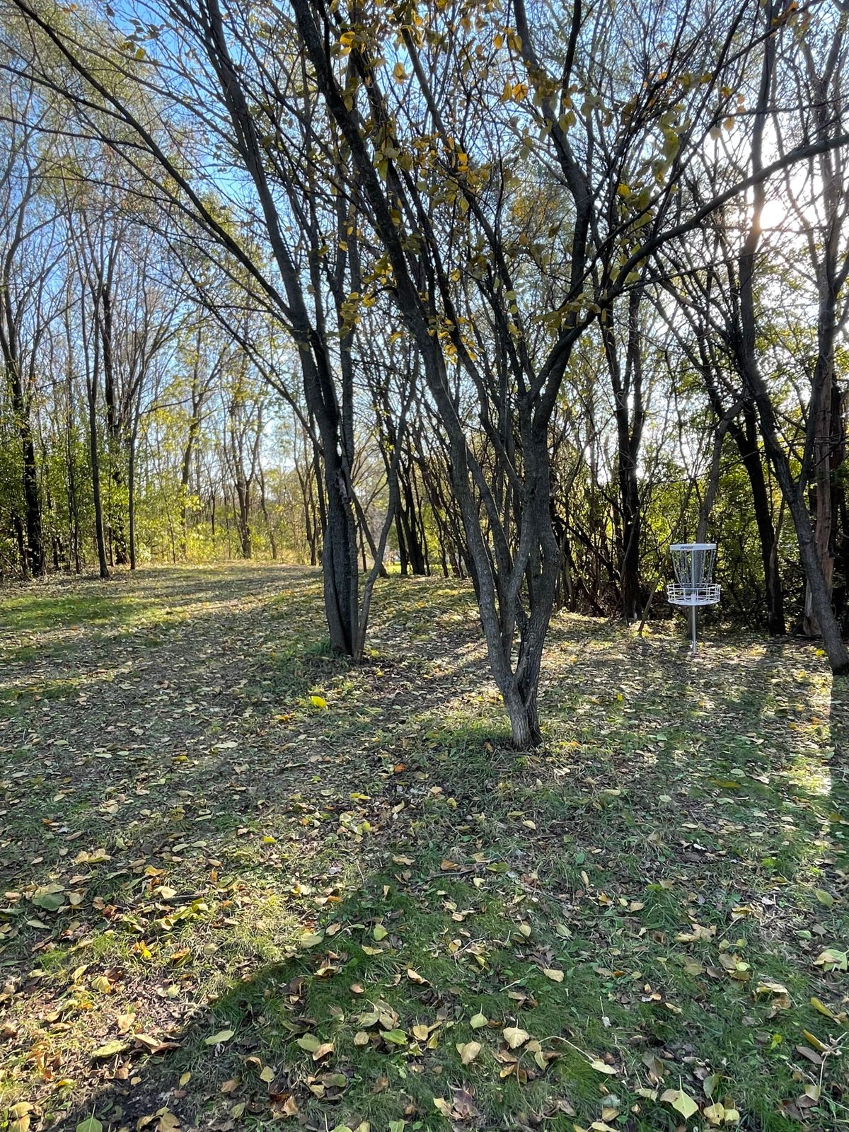 Hole 11 Reverse