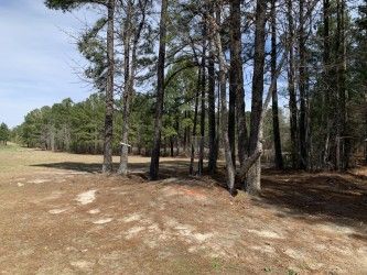 Hole 2 green and temp basket