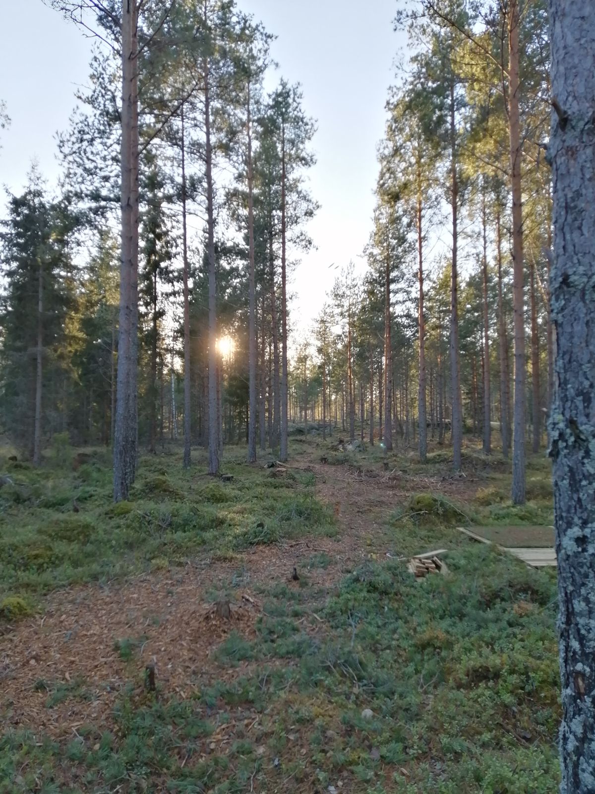 12. Väylä
