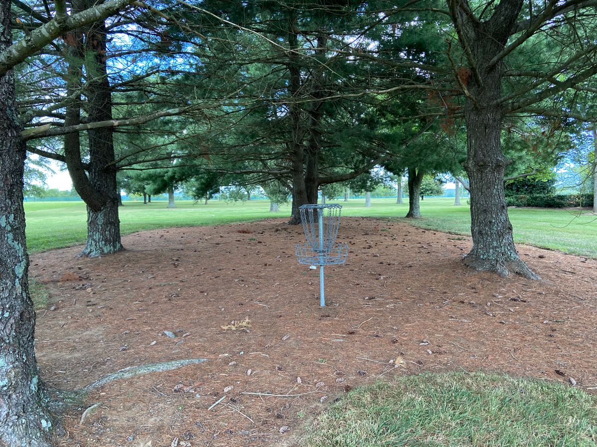 Hole 6