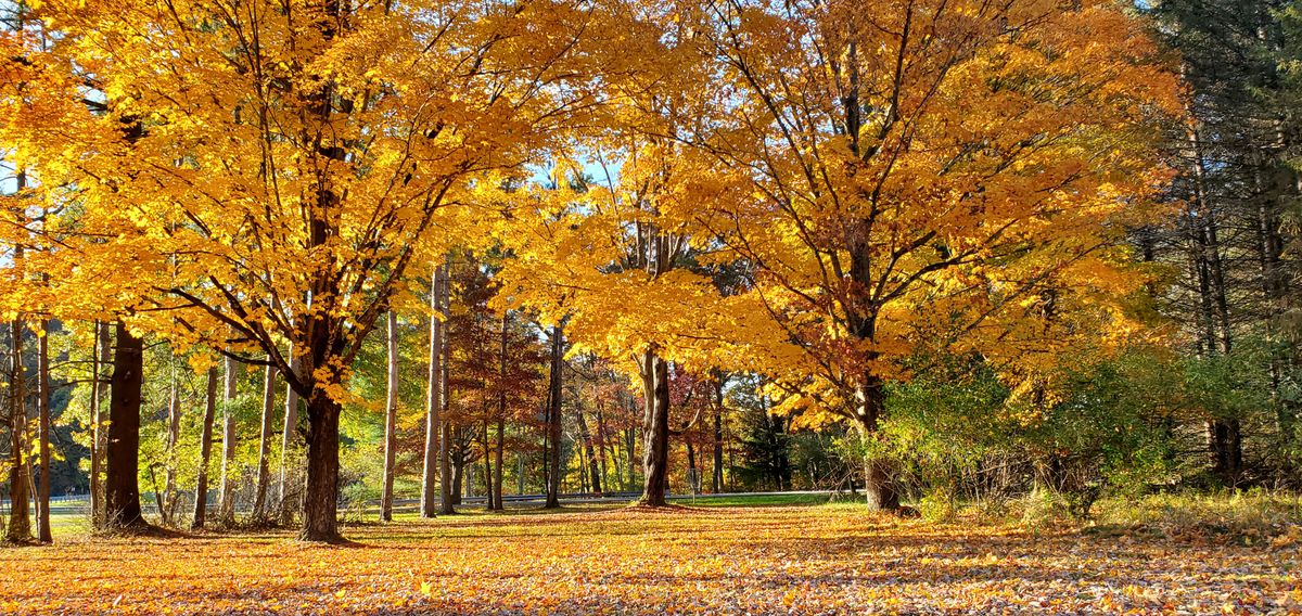 Autumn Hole 3 T. Lake