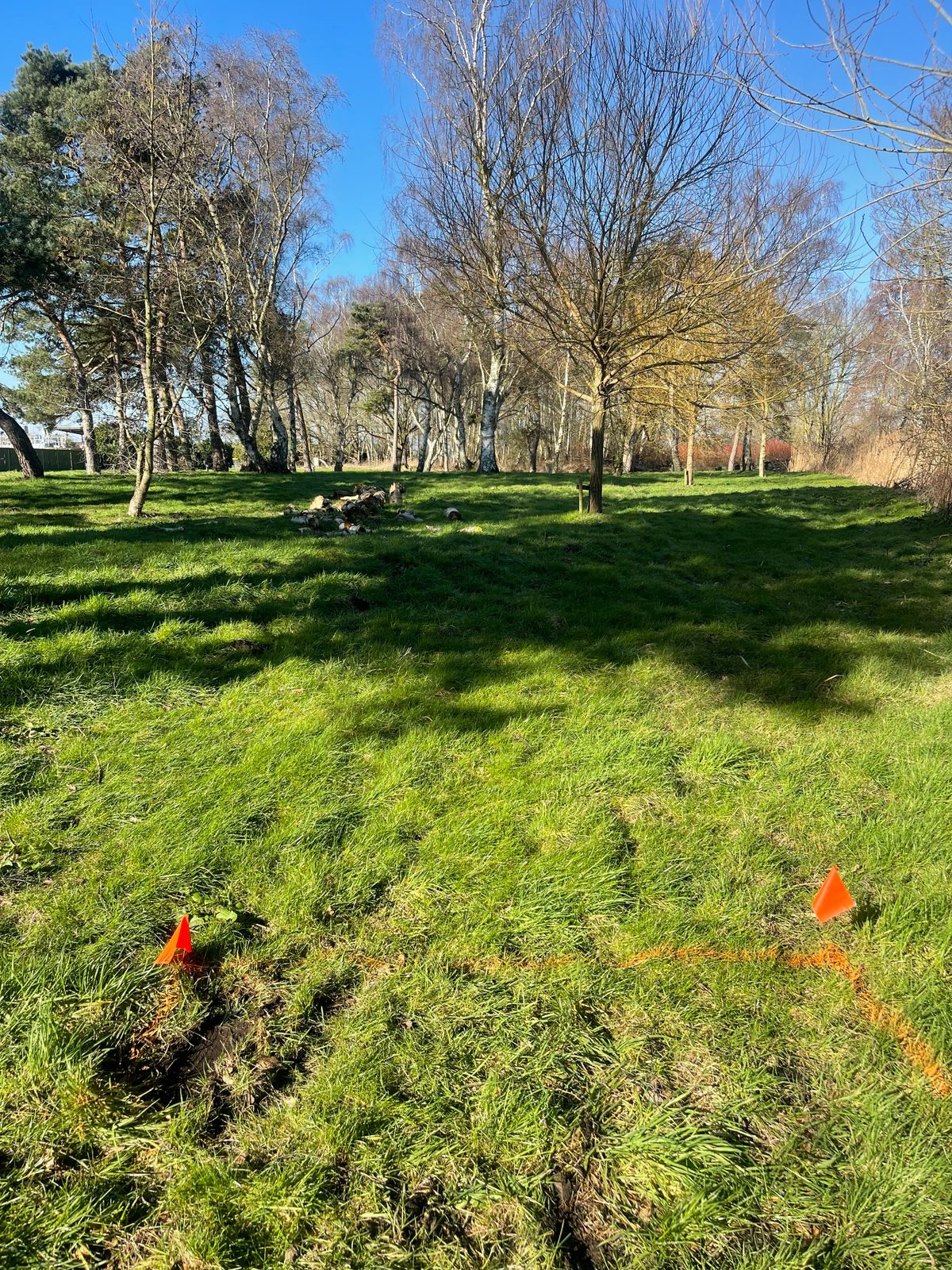 Hole 5 tee area