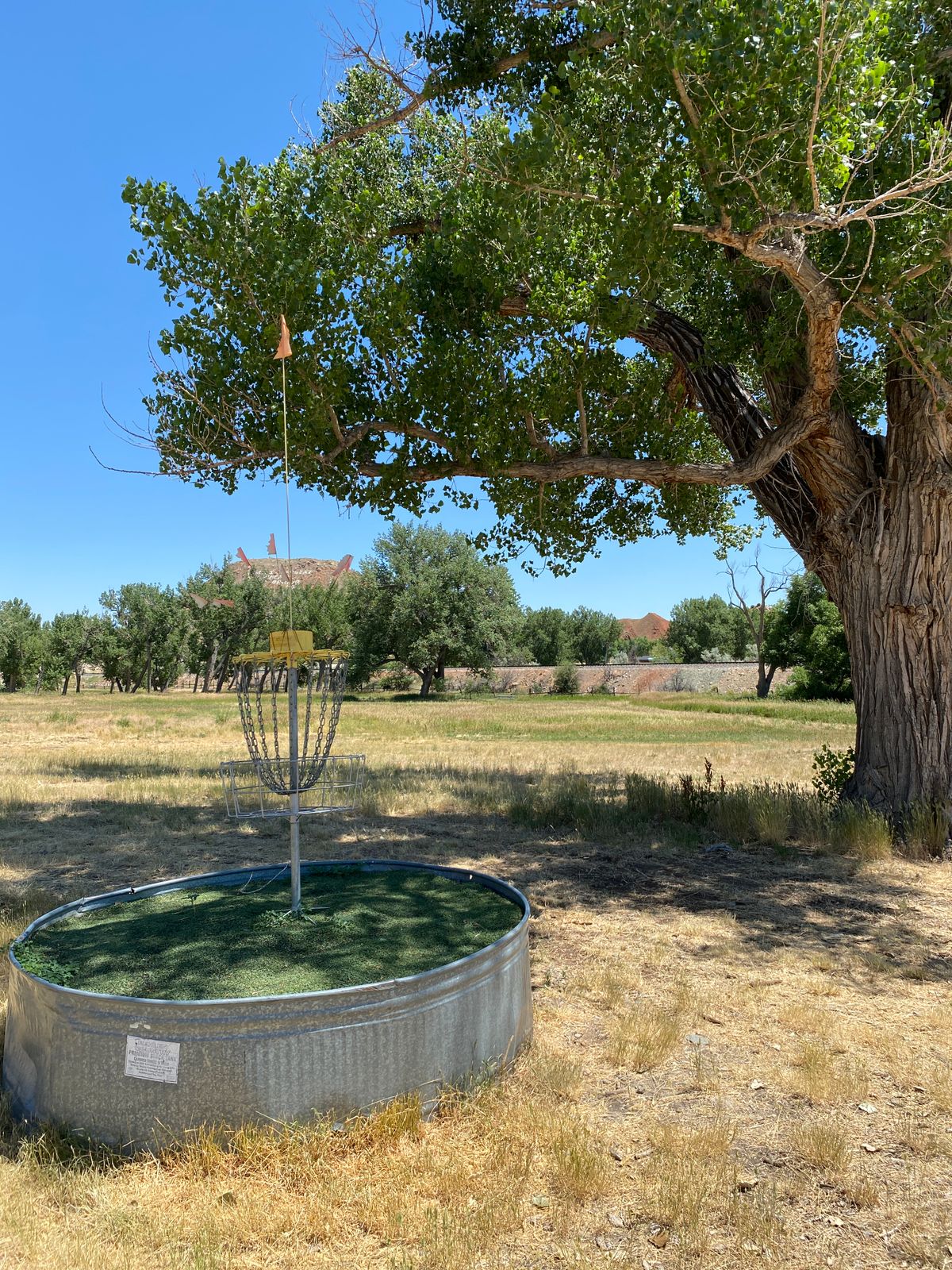 Hole 2 in a water trough.