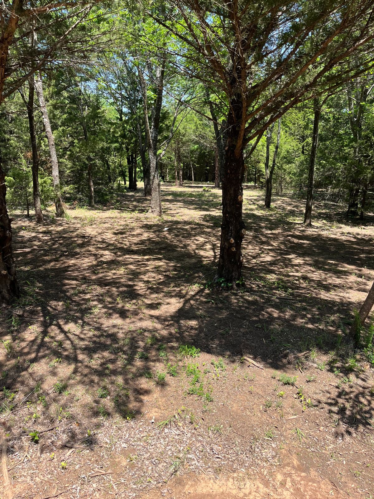 Fairway of 2 looking back from basket