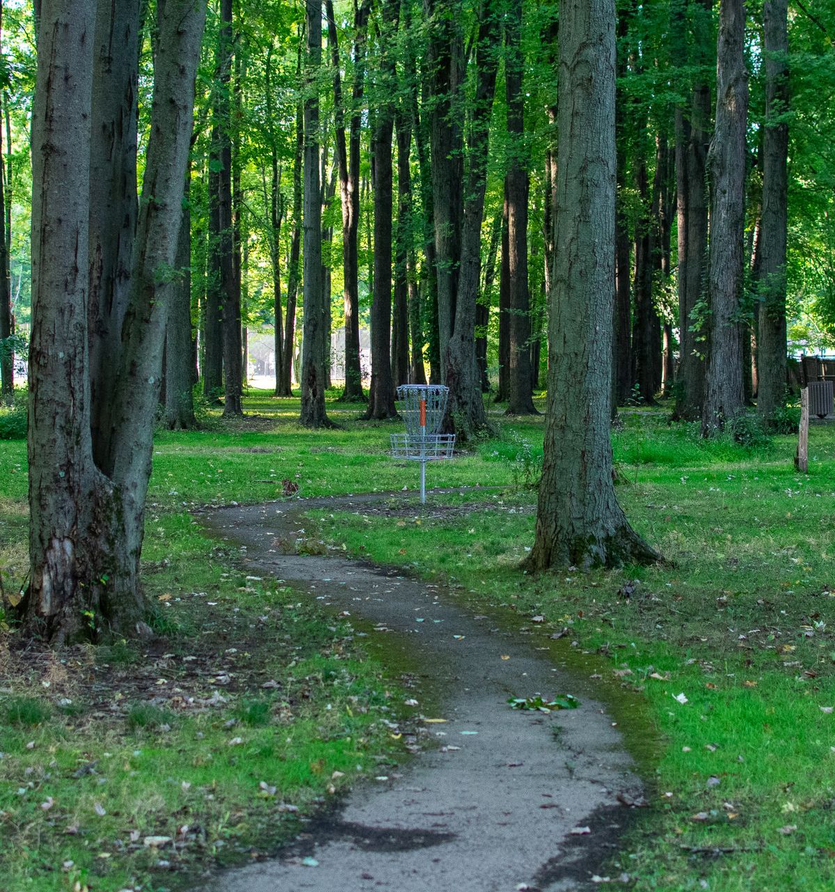 Hole #8 approach after a sawed off drive.