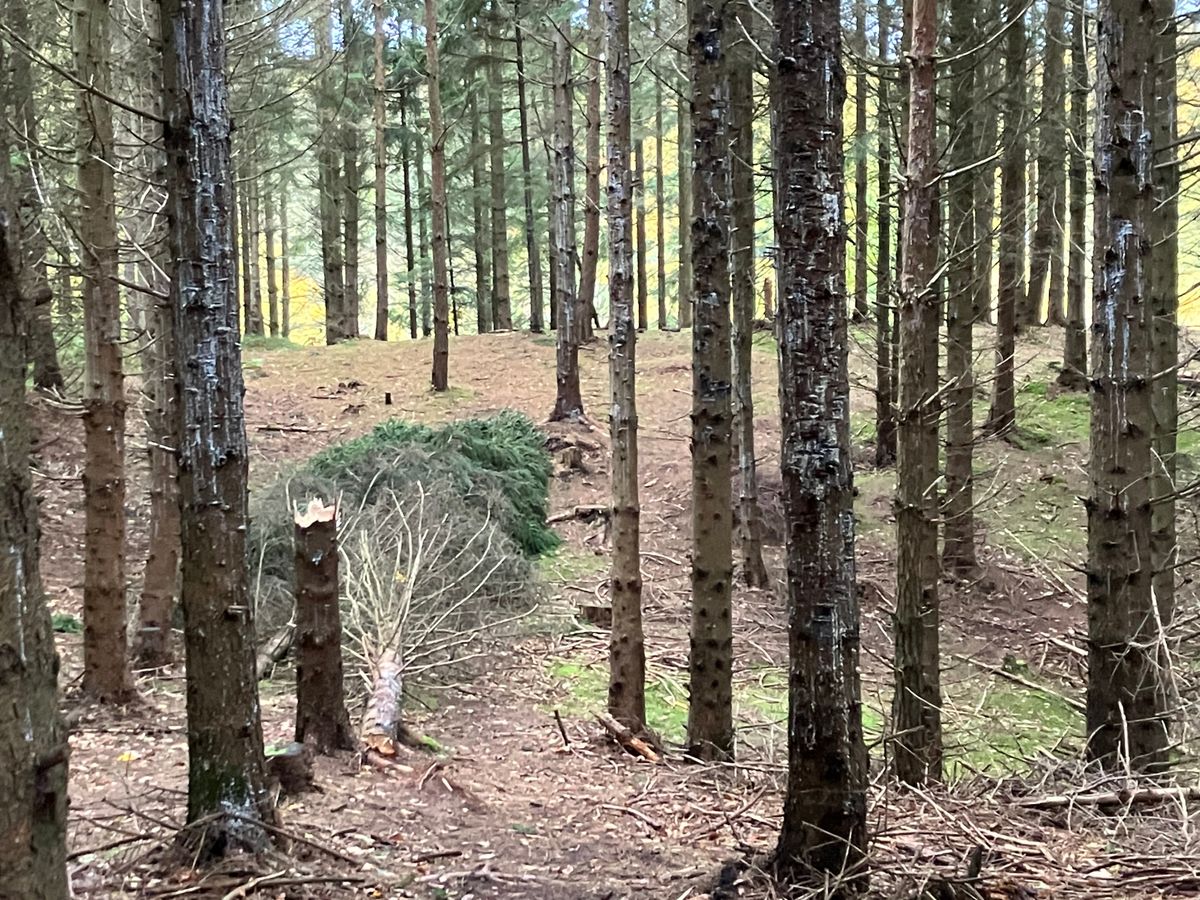 Mother Nature performing course maintenance on hole 18