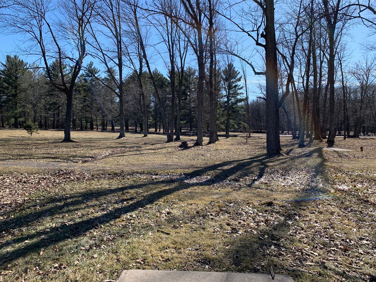 Hole 10 tee (short)
