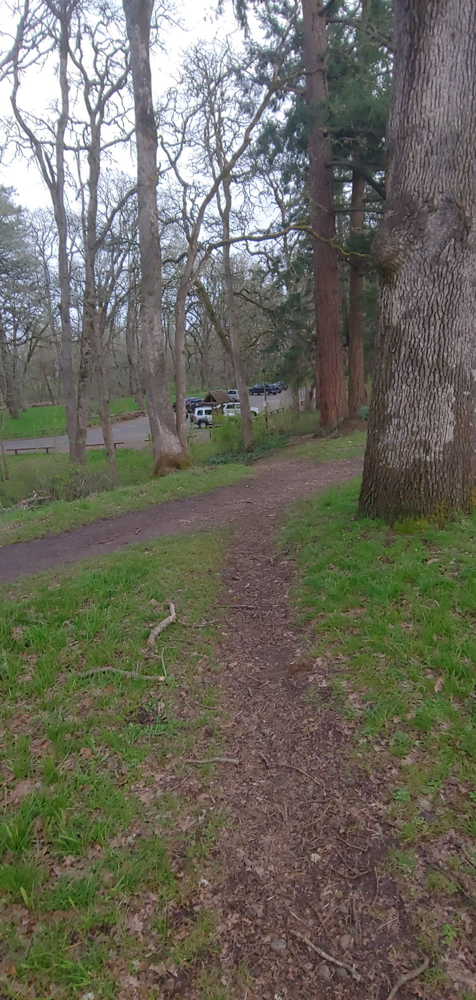 Tee 11