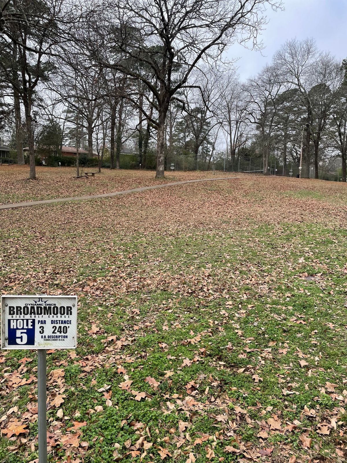 Hole5: Uphill to the tennis court fence, left basket in pic