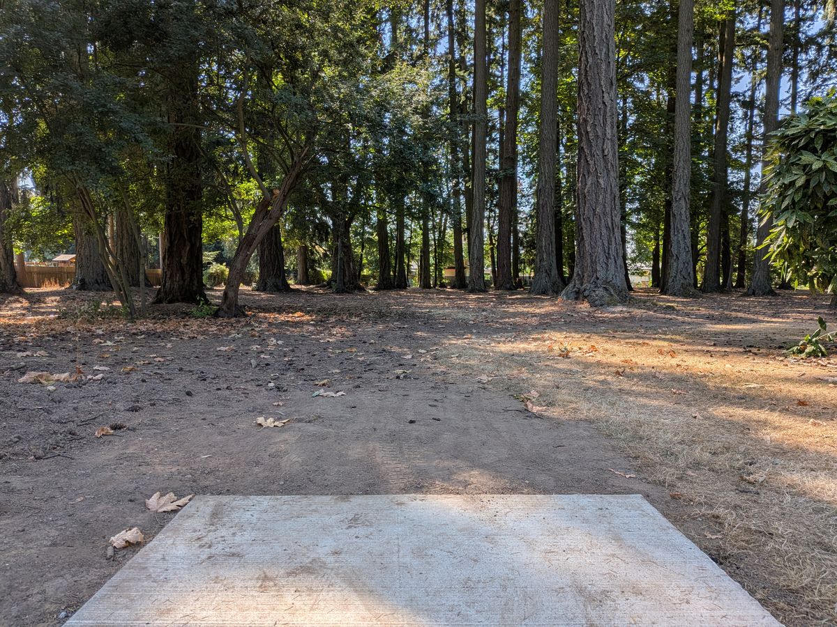 Hole 8