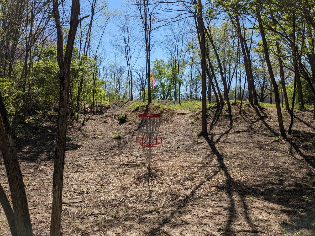#15 from behind Basket