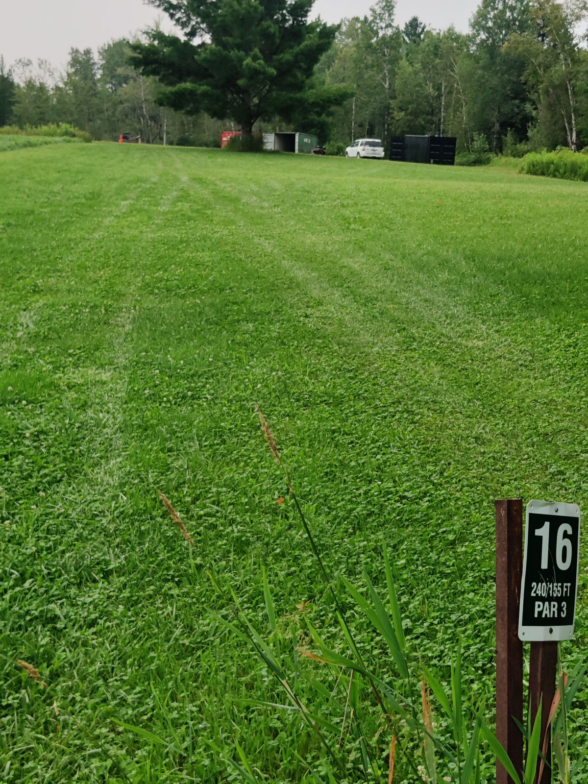 Tee 16